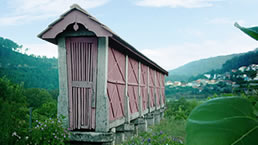 Reriz